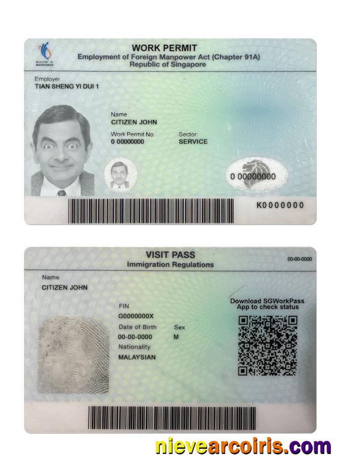 Singapore work permit